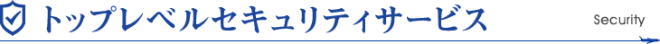 トップレベルセキュリティサービス